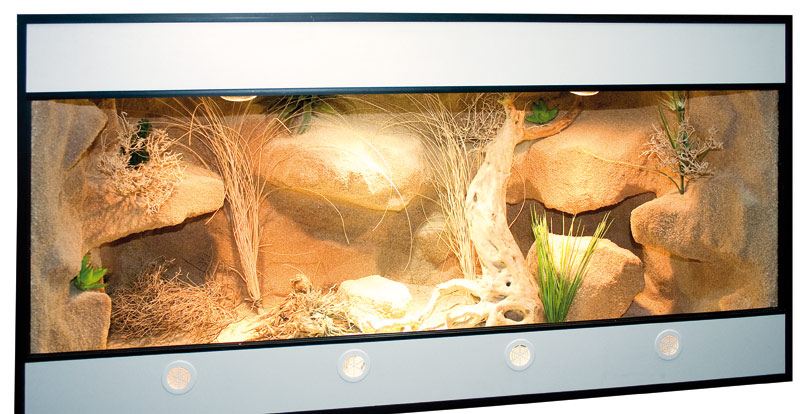 Metatrader 4 Kaufen Bei Forex Terrarium