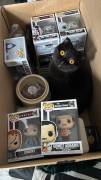 Scottish Fold BKH Kater sucht Katzenkorb 