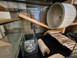 Großer Kleintierkäfig (Degus, Ratten etc)