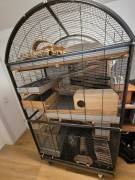 Großer Kleintierkäfig (Degus, Ratten etc)