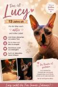 Lucy, 13 sucht neues Zuhause.