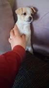 Kleine Mädchen suchen ein neues Zuhause 