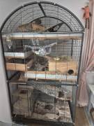 Großer Kleintierkäfig (Degus, Ratten etc)