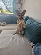 Suche neues Zuhause
