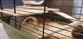 Käfig für Zwerghamster Hamster Kleintier Zubehör