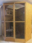 2 Chinchillas wegen Umzug dringend abzugeben