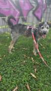 ❤️ AMI – SUCHT IHRE FAMILIE! ❤️