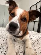 MARLEY SUCHT SEIN TRAUM-ZUHAUSE