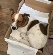 MARLEY SUCHT SEIN TRAUM-ZUHAUSE