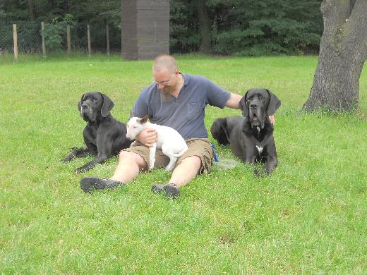Achtung ! Treffpunkt Deutsche Dogge !