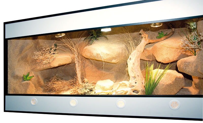 Forex Terrarium NEU!! vom Hersteller der HC-Terrar