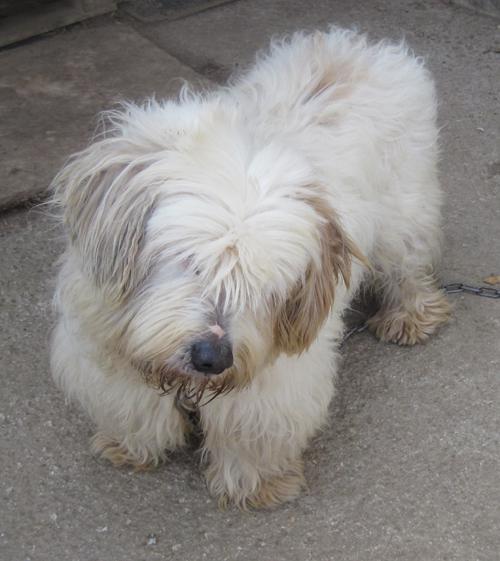 Angel - ein netter Junge der es verdient hat :)