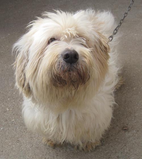 Angel - ein netter Junge der es verdient hat :)