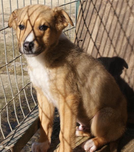 (Reserviert!) Miky - möchte einfach nur geliebt w