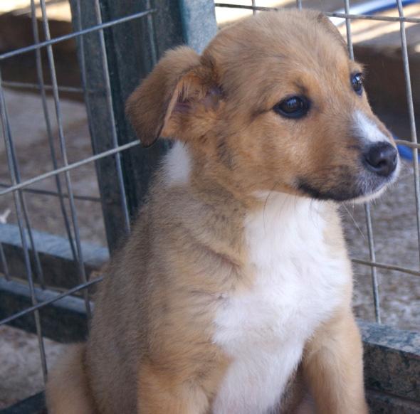 (Reserviert!) Miky - möchte einfach nur geliebt w