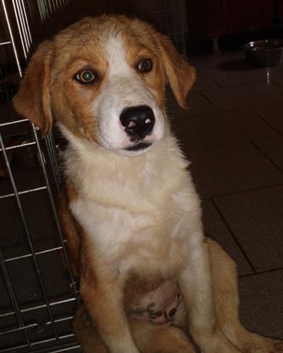 (Reserviert!) Salsa - eine Bereicherung für jede 