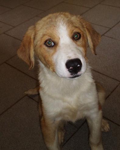 (Reserviert!) Salsa - eine Bereicherung für jede 