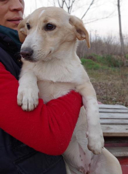 Melpo - ein süßes Mädchen mit relativ kurze Bei