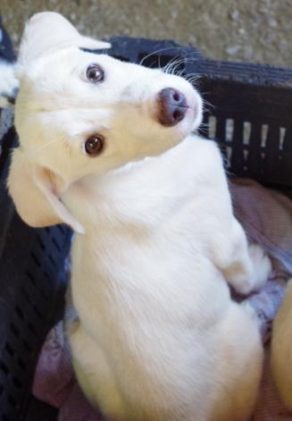 Rita- eine aus der wilden Bande :)