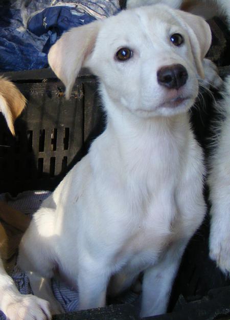 Rita- eine aus der wilden Bande :)