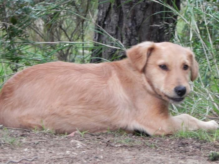 Antuan Rüde-reserviert