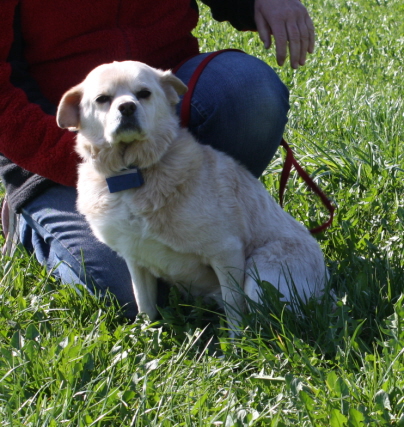 Wikki-Senior, ein Goldschätzchen!