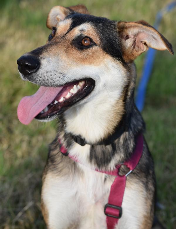 Bueno - PS gefunden / Reserviert