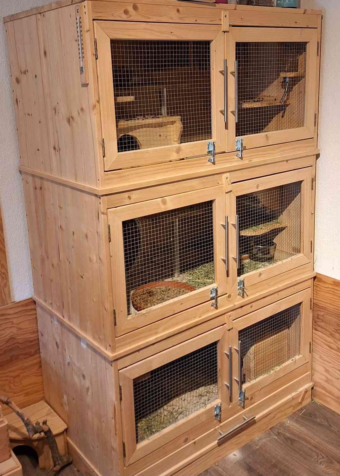 Chinchilla 3-er Gruppe