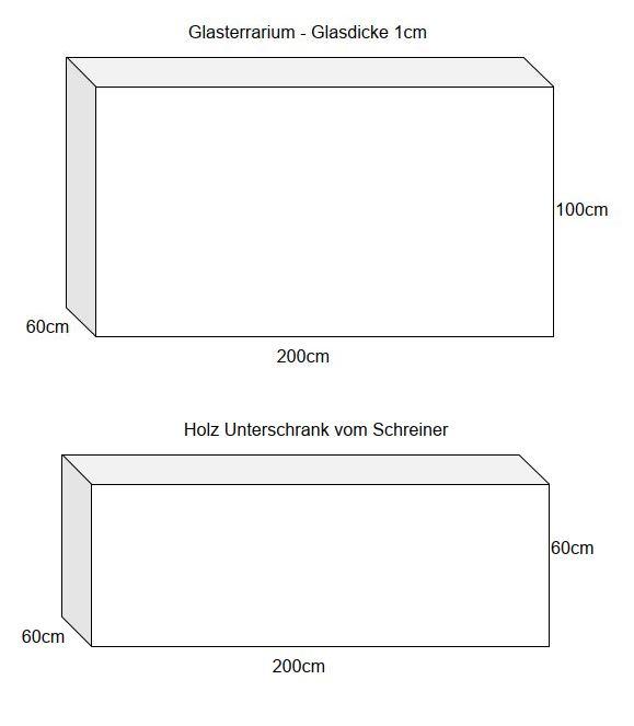 Großes Terrarium inkl. Bartagame - Komplettset zu