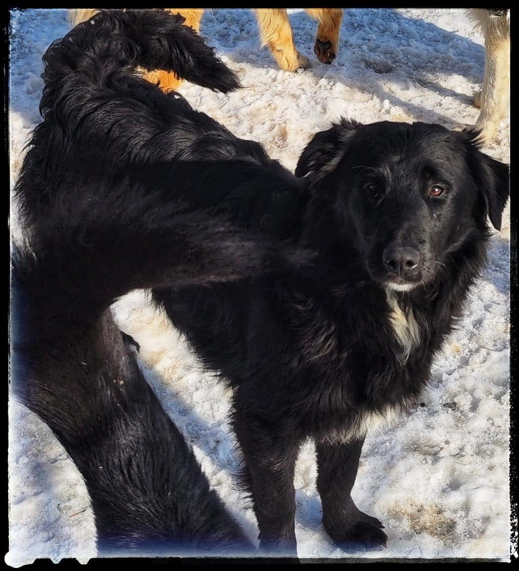 Batman, möchte endlich seine Familie finden