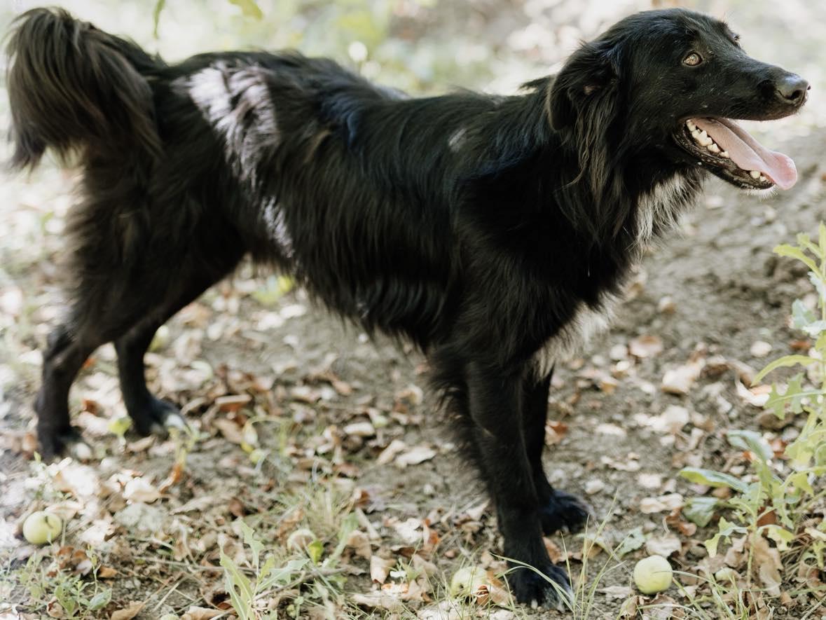 Batman, möchte endlich seine Familie finden