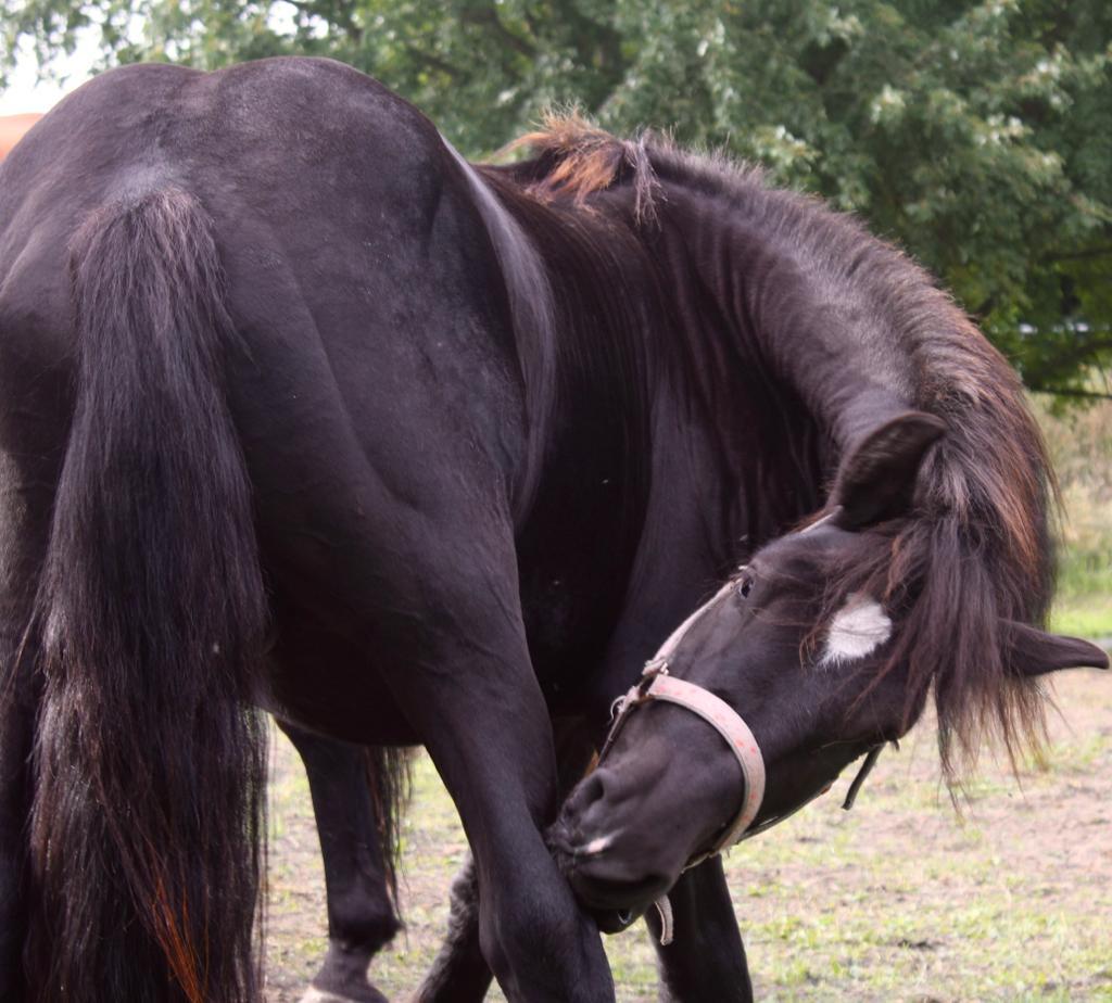 Kleiner Mann mit großem Ego sucht neuen Wirkungsk