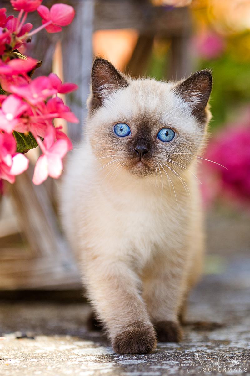 Diese blauen Babybärchenaugen….