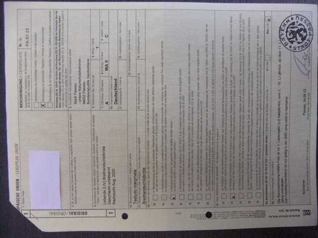 Landschildkröten Breitrand (tm) Jahrgang 2020