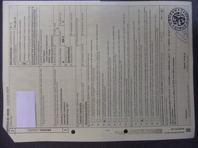 Schildkröten Breitrand NZ 2021