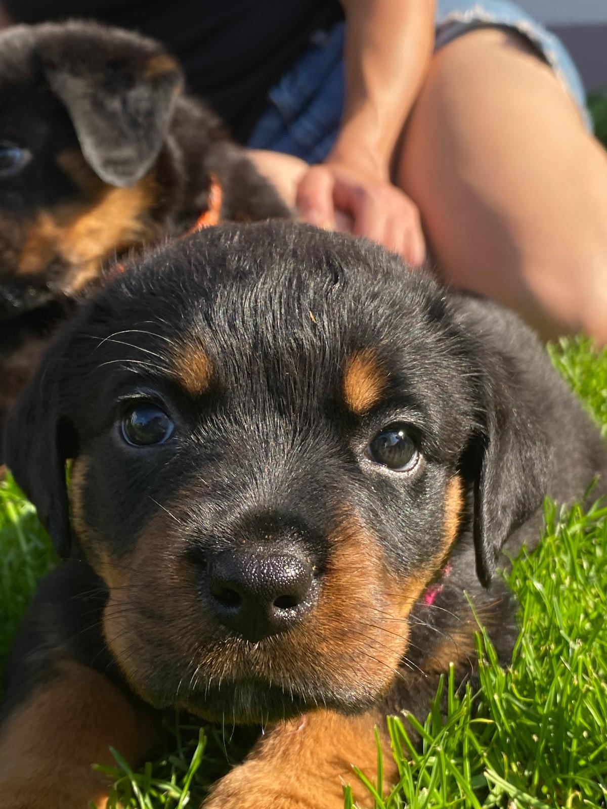 Wir suchen ein Zuhause