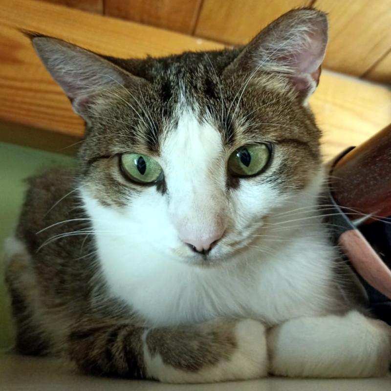 ANDROMACHE - Von der Futterstelle ins Glück?