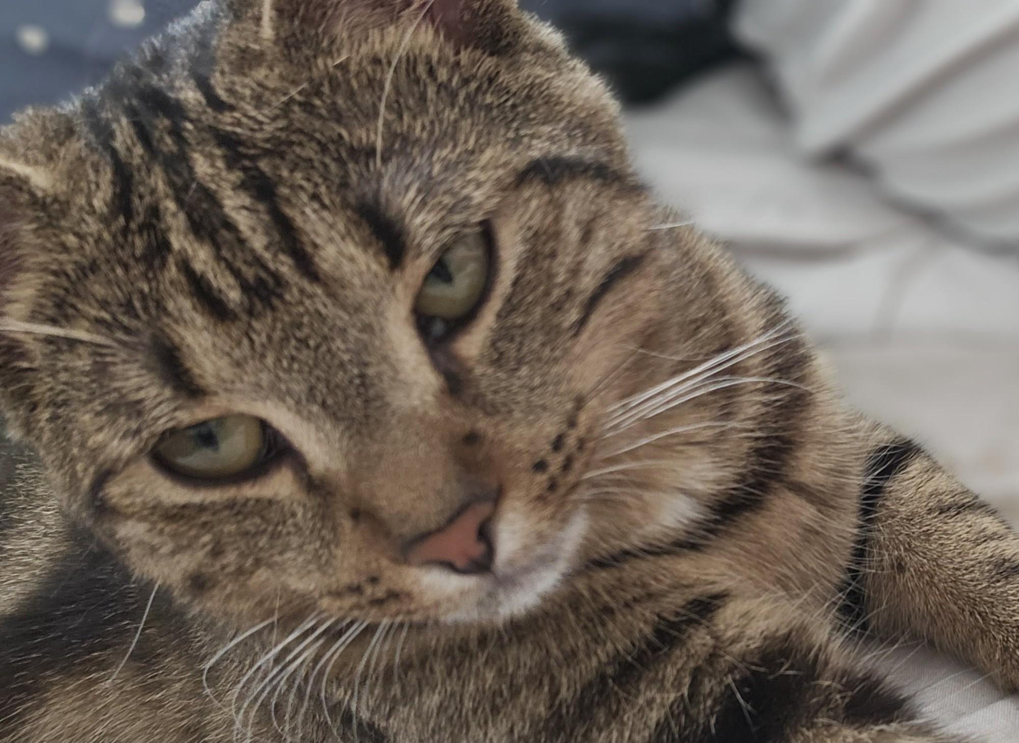 Bkh ekh kitte 8 monate abzugeben