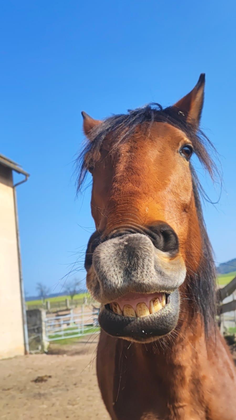 Wunderschöne Spanierin