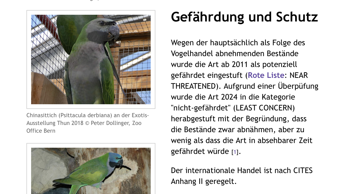 Papageie Chinasittiche