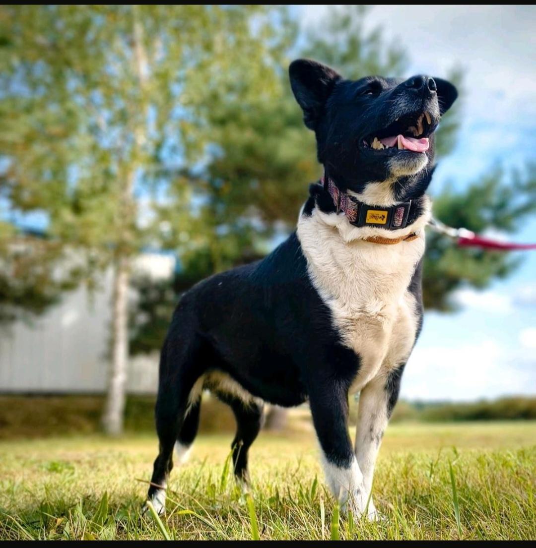 HOLLY – Power im Herzen, Kuscheln im Blut