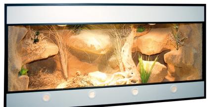 Forex Terrarium NEU!! vom Hersteller der HC-Terrarien