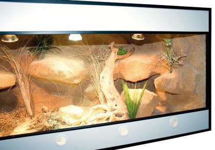 Forex Terrarium NEU!! vom Hersteller der HC-Terrarien ...