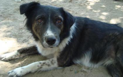 Marieta - will nur beschmust werden!