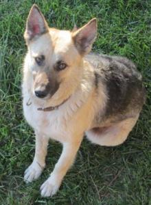 Selina - nette Katzenliebhaberin