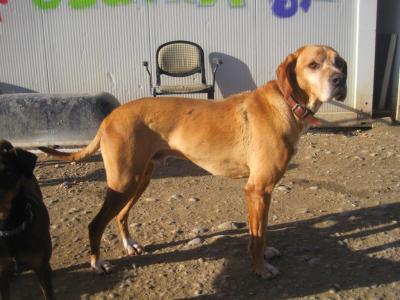 Rey, toller Kerl sucht super Familie