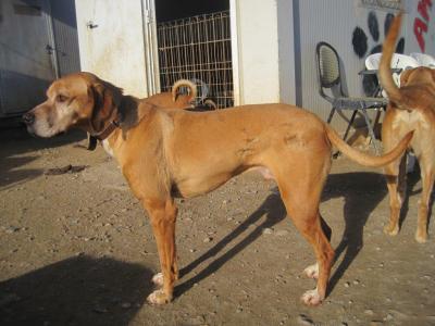 Rey, toller Kerl sucht super Familie