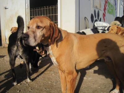 Rey, toller Kerl sucht super Familie