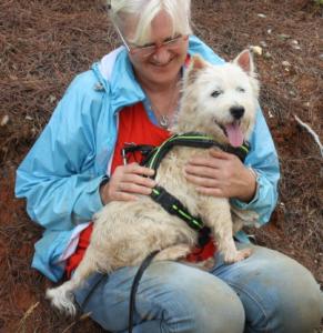 Pirolin-Senior, ein zauberhafter West Highland Terrier!