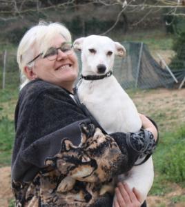 Avena, zarter Jack Russell Mix, geb. 03/13, weibl.-kastr. sucht liebevolle Menschen!
